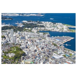 300Pジグソー 日本の都市16 神奈川県横須賀市「空からみた横須賀中央」　300-334
