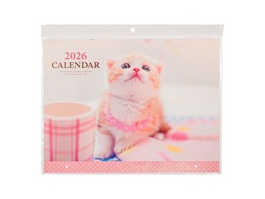 【2026年カレンダー】カレンダー 2026 見開き B3 ネコ写真