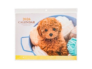 【2026年カレンダー】カレンダー 2026 見開き B3 イヌ写真
