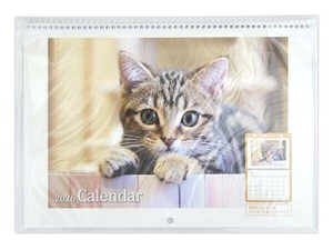 【2026年カレンダー】見開きB4 リング壁掛けカレンダー CAT