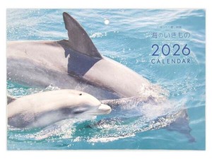 【2026年カレンダー】見開きA3 中綴じ壁掛けカレンダー 海の生き物