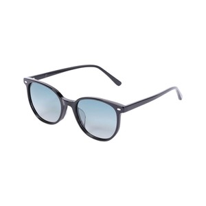 【DULTON　ダルトン】GLASS WITH COLOR LENS BLACK/GREEN