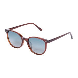 【DULTON　ダルトン】GLASS WITH COLOR LENS BROWN/GREEN