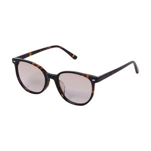 【DULTON　ダルトン】GLASS WITH COLOR LENS TORTOISE/BROWN