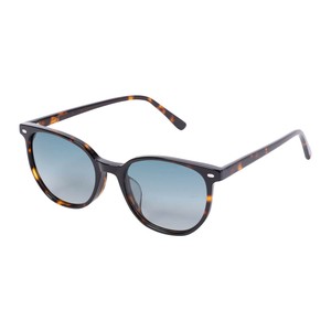 【DULTON　ダルトン】GLASS WITH COLOR LENS TORTOISE/GREEN