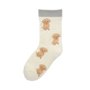 Cold Weather Item Socks Poodle