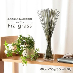 雑貨 みらい