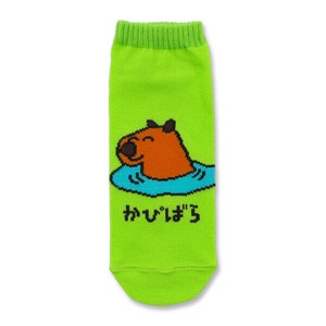 【レディースサイズ】レディース靴下/くつした/女性用/くるぶし/ソックス/SOCKS/ANKLE SOCKS