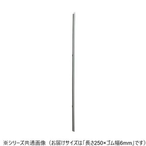 ワイパーブレード　レインアンサーSリフィール(替えゴム)TNタイプ 長さ250×ゴム幅6mm G25T