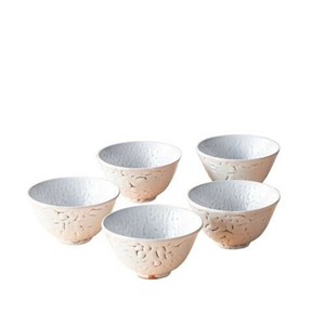 萩焼 白萩汲出し5客揃 3-55 5410-054