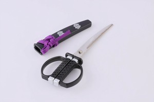 Scissor