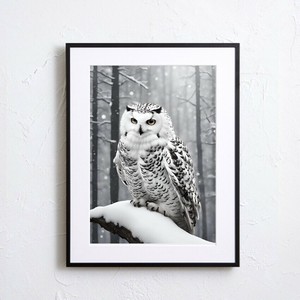 【アートポスター】動物 フクロウ モノクローム 風景景色 冬 雪 A4A3A2サイズ