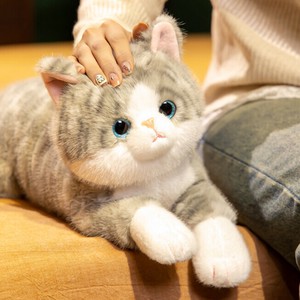 猫  ぬいぐるみ    MBQ3856