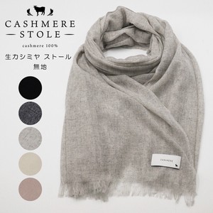 Stole Large Size Cashmere [A/W NEW]