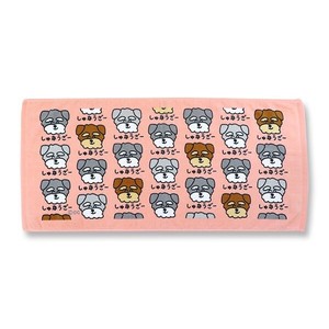 （取り寄せ品）TOWEL しゅなうざーさん　おえかきさん フェイスタオル   オクタニ