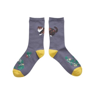 Matsuo Miyuki Back Cat socks Mugi