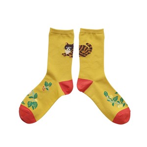 Matsuo Miyuki Back Cat socks Maron