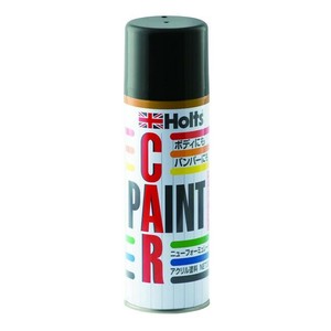 Holts　ホルツ　アンチラストペイント300　A-9　つや消し黒　MH11609