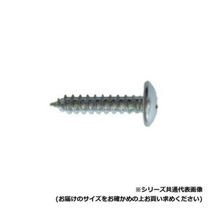 セレクト トラスタッピングビス　4X30 TR-30P