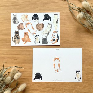 Postcard