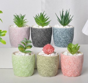 植木鉢  陶器 置物  6点セット  DYLA1227