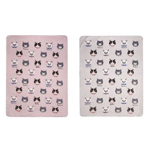 膝盖毯 猫咪 猫