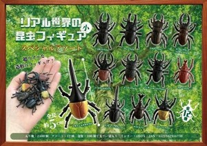 【New】リアル世界の昆虫フィギュア（小）スペシャルアソート MB673