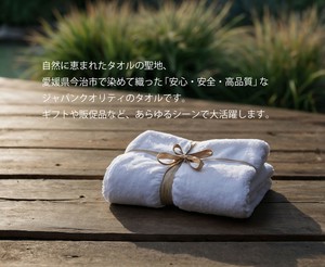 850匁 バスタオル（今治産）シャーリング DF3201 AB