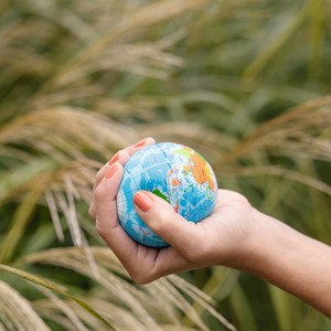 预购 健康杂货 中国制造