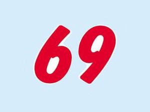 ヘイコー 数字 シール Nナンバーセルフ S 6・9 赤 64片