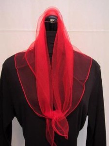 Thin Scarf Georgette Autumn Winter New Item Made in Japan