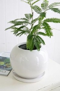 Flower Vase White Gray L
