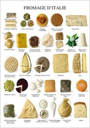 フランスより輸入■ポストカード■Italian cheese