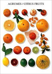 Postcard Fruits