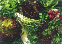 Imports Postcard Salad Recipe