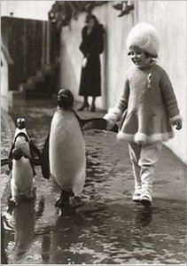 ■ポストカード■Little girl with penguins フランス直輸入