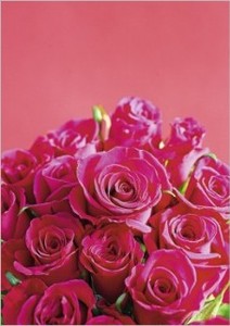 Postcard Bouquet Pink
