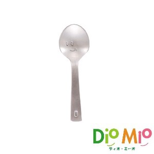 Made in Japan DIOMIO Mini Spoon All Stainless Matte