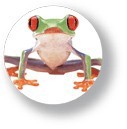 アニマル缶バッジNO.CBAN-008　Frog（カエル中）