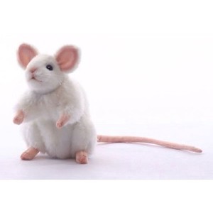 安全性・本物のような質感・感触にこだわった HANSA 製品『白ネズミ 16』 【5323】