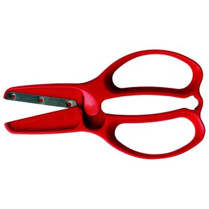 Fiskars Scissor
