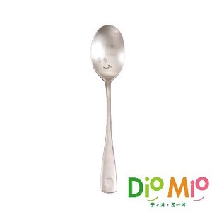 Made in Japan DIOMIO Coffee Spoon All Stainless Matte