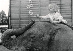 ■ポストカード■The girl and the elephant フランス直輸入