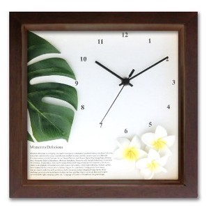 Asia Hawaiian Smallish Interior Clock/Watch Monstera