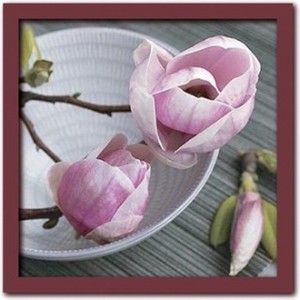 Art Collection/Magnolias on a bowl