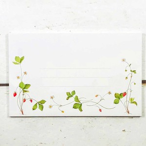 Store Supplies Envelopes/Letters Strawberry Made in Japan