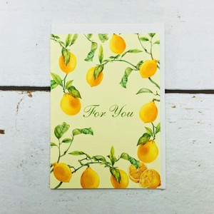 信件套装 柠檬