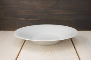 美浓烧 大餐盘/中餐盘 西式餐具 22cm 日本制造