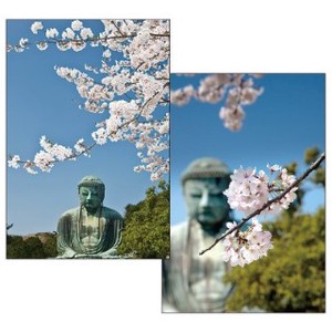 ステーショナリー/桜シリーズ/桜3DフォトポストカードC4