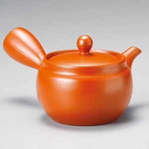 Tokoname ware Japanese Teapot Tea Pot